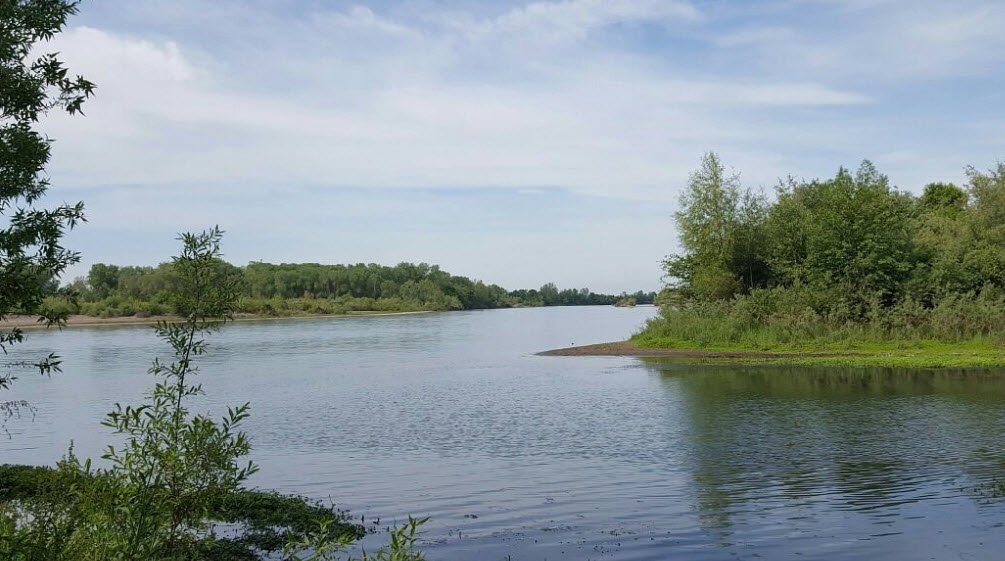 Bidwell-Sacramento River State Park, California, USA